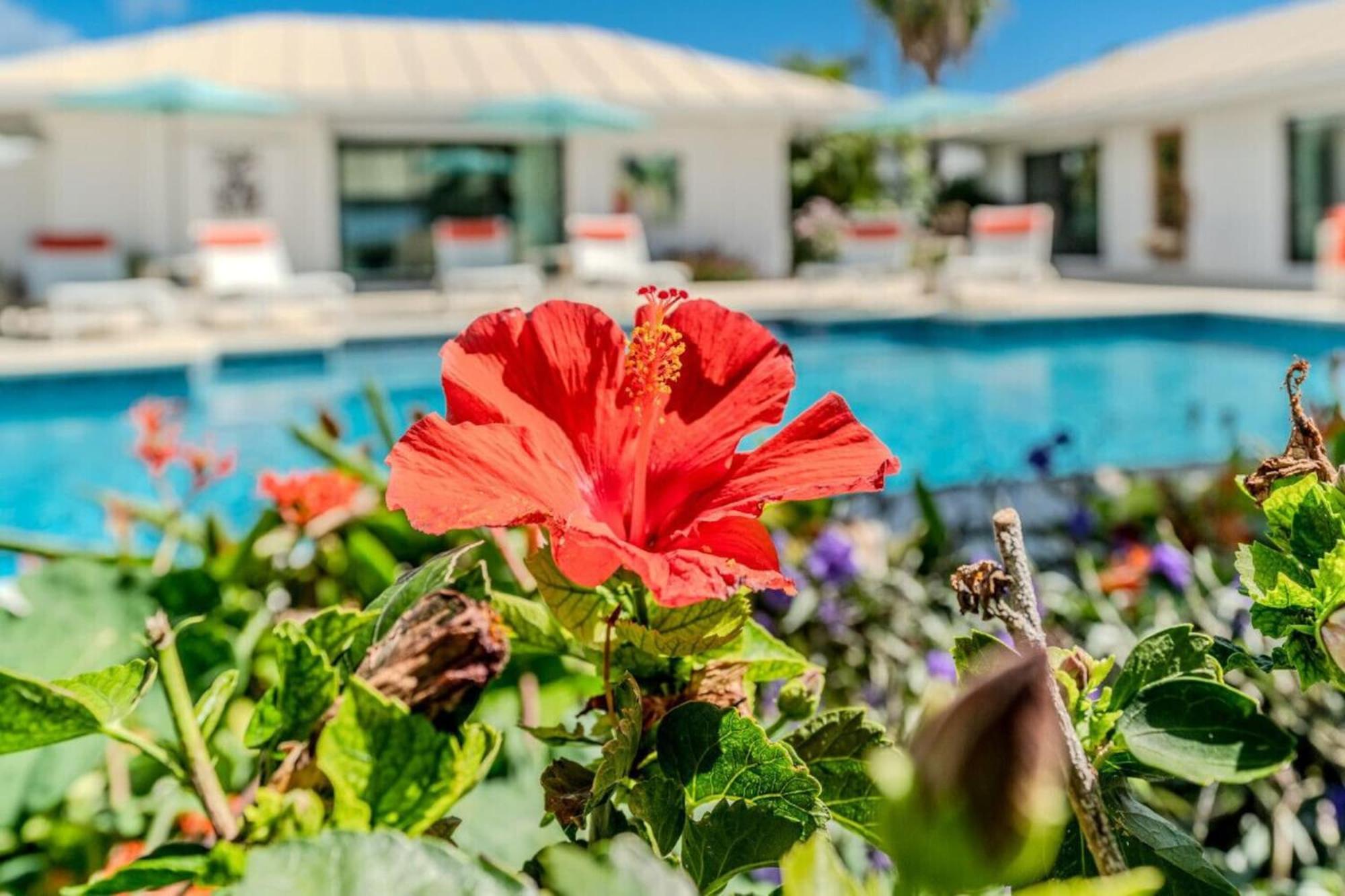 Royal Villa With A Huge Swimming Pool Cowell Battery Extérieur photo